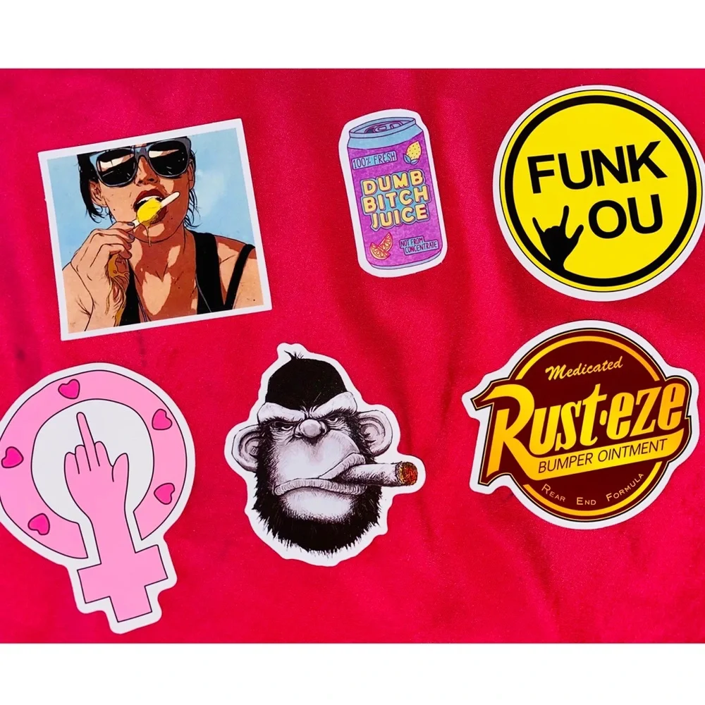 Sassy Sticker Bundle Water Bottle, Laptop Etc